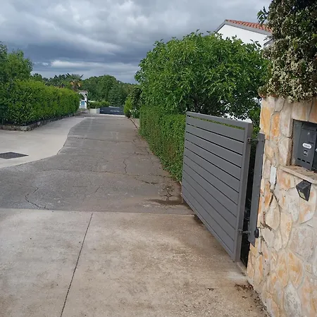 Jenny-porec Daire Kosinozici