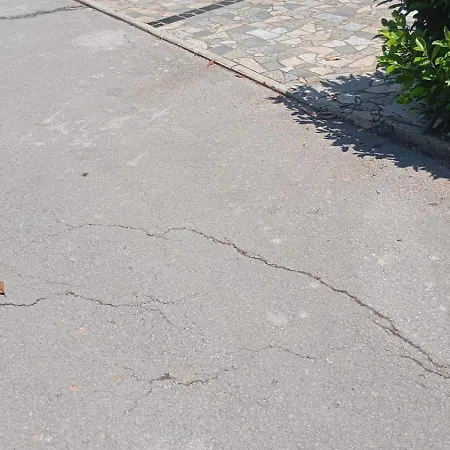 Jenny-porec Kosinozici